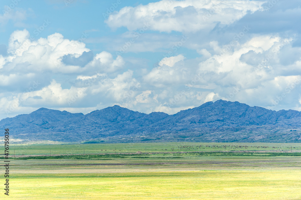 prairie, a steppe ecosystem considered part of grassland, savannah, and