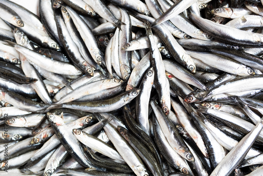 A pile of beautiful small fishes on a counter A pile of beautiful small fishes on a counter