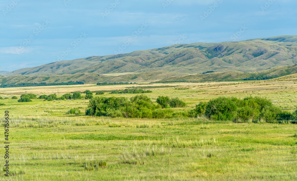 steppe, prairie, veld, veld - Great Plains. Kazakhstan The steppe is great. Since arid prairies are unsuitable for agriculture or business development, they retain much of their natural landscape.