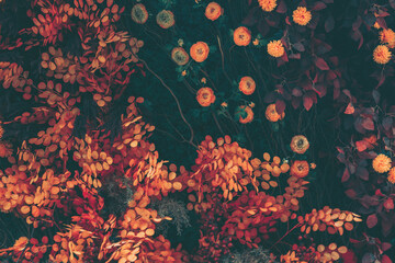Keuken achterwand Romantische stijl Vintage bloemen achtergrond in pasteltinten  © joeycheung