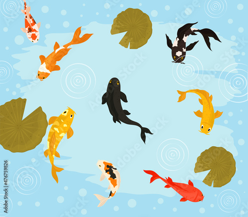 koi fishes floating