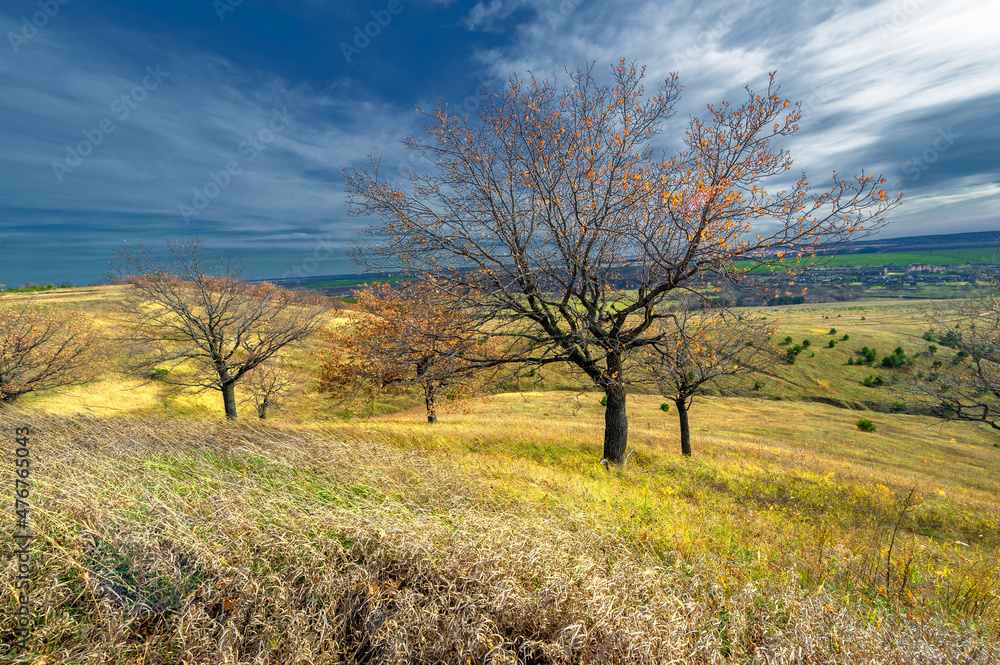 Autumn landscape photography, the European part of the Earth. Vi