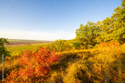 Autumn landscape, deciduous forest. Our autumn photo gallery is full of landscapes showcasing beautiful autumn colors from many areas