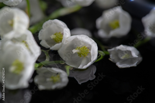 Nature flowers photography, Lilies of the valley. a widely culti