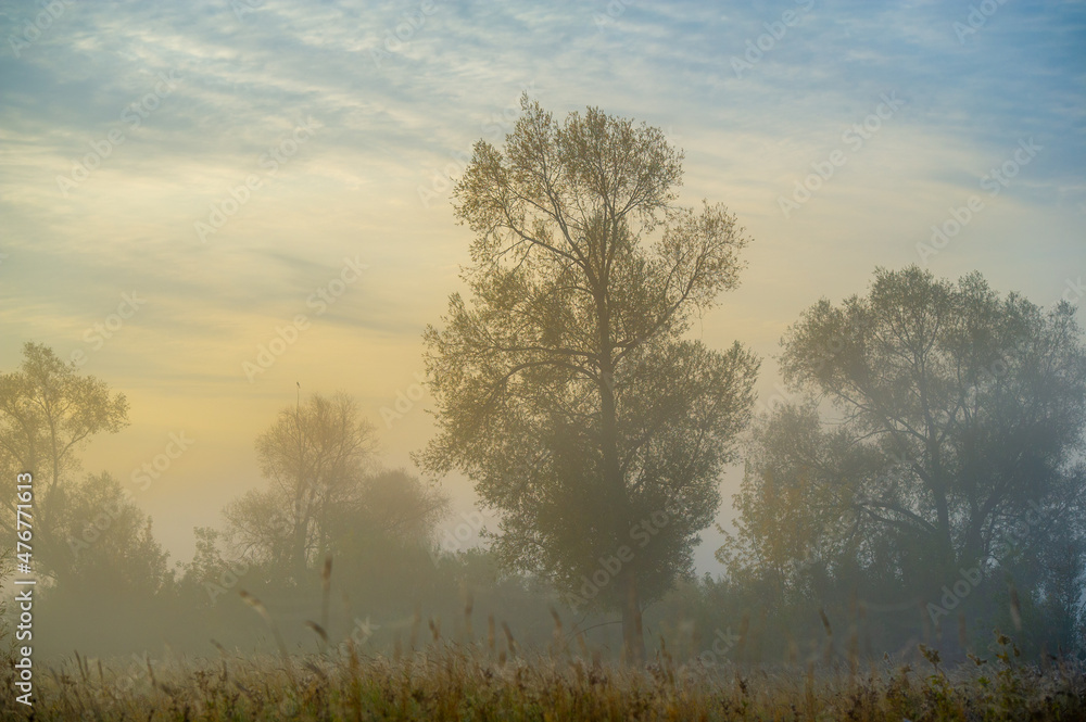 Autumn in the river floodplain. The fog can be spectacular when viewed from above, as the fog 