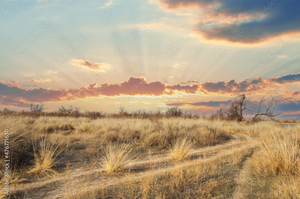 Steppe in early spring. The Eurasian Steppe, also called the Great 
