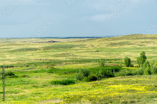 prairie, a steppe ecosystem considered part of grassland, savannah, and shrub biome according to ecologists, based on a similar temperate climate, moderate rainfall and grass composition, © Татьяна Мищенко