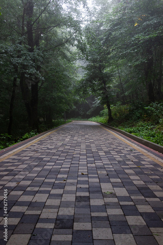 A path made of multi-colored stone in the forest 