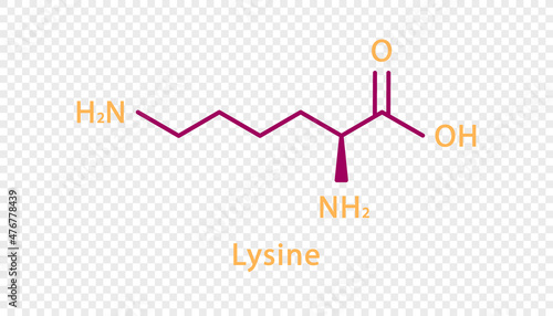 Lysine chemical formula. Lysine structural chemical formula isolated on transparent background.