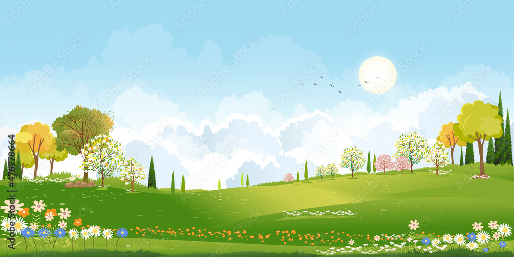 Spring green fields landscape orang, blue sky and clouds background,Panorama peaceful rural nature in springtime with green grass land in morning. Cartoon vector for spring and summer banner - obrazy, fototapety, plakaty 