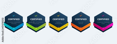 Information Technology Qualifications Certification Badge Design Template. Certified Company Examination Logo by Criteria.