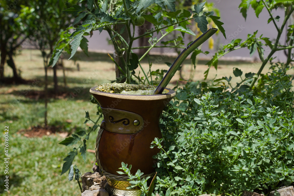 Chimarrão is a typical drink from the state of Rio Grande do Sul in Brazil Chimarrão is a typical drink from the state of Rio Grande do Sul in Brazil