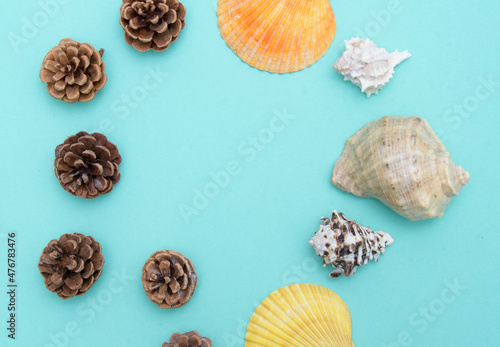 New Year card. Cones and shells on a mint background. The idea of the transition of seasons. View from above.