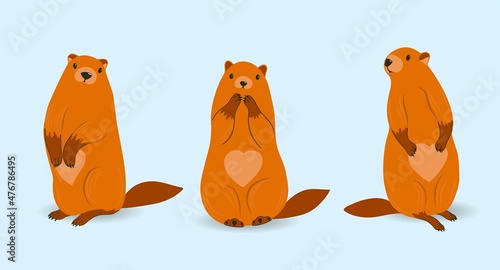 Marmot. SET of characters. Groundhog day. Beavers isolated. Vector illustration. Rodents. Harbingers of Spring