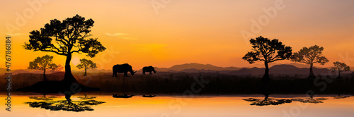 sunset in africa, safari with wild animals. giraffes against the background of sunset in the savannah.Amazing. Panorama silhouette tree in africa.with blur shadow techniques. © Mohwet