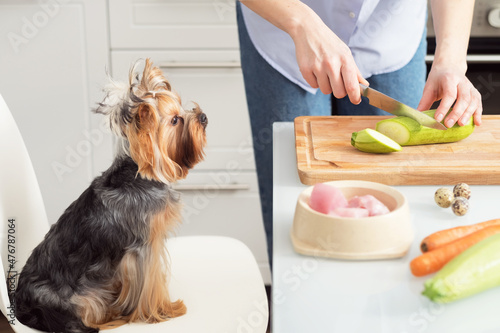 Making natural pet food at home. A woman prepares organic food for her dog.