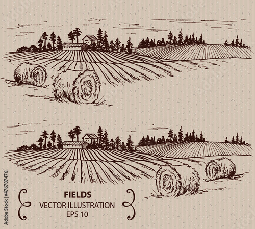 Fields and hay, hand drawn vector illustration