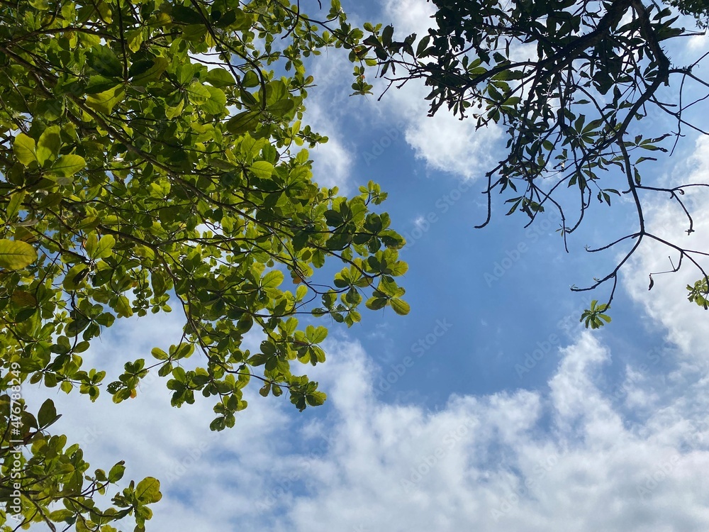 Sky Beach, Pauba - Sao Paulo - Brasil 