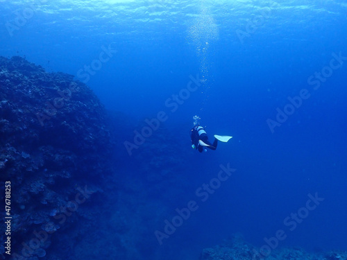 広がるサンゴの海底・石垣島