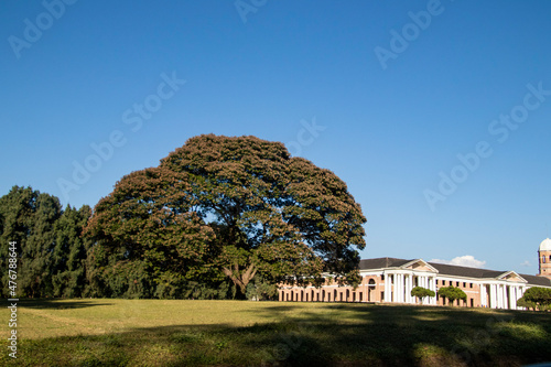 Various views of the forest research institute photo