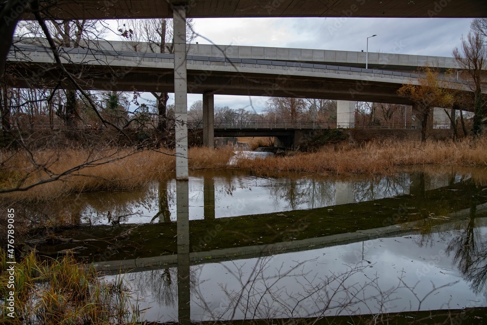 highway bridges across a park with water reflection and reed grass