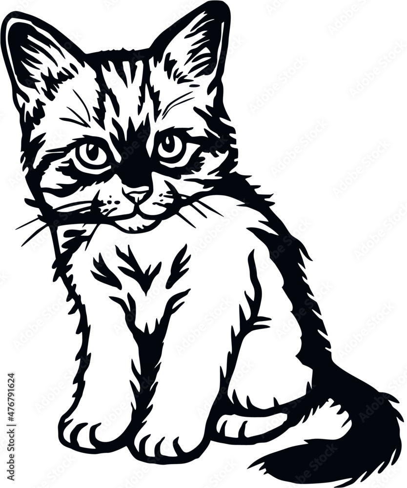 Fototapeta premium Cat, Peeking kitten - Cheerful kitty isolated on white - vector stock illustration
