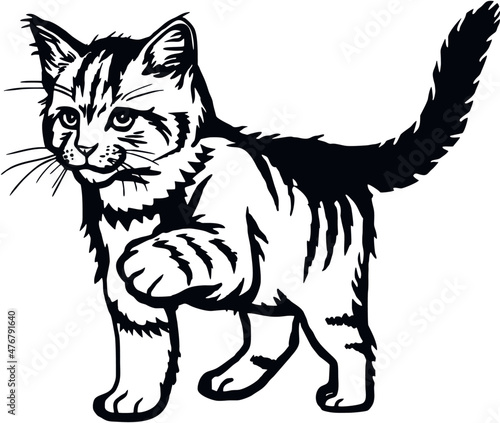 Cat, Peeking kitten - Cheerful kitty isolated on white - vector stock illustration