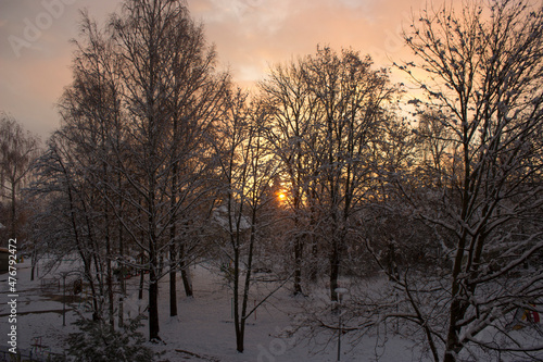 sunset in the winter