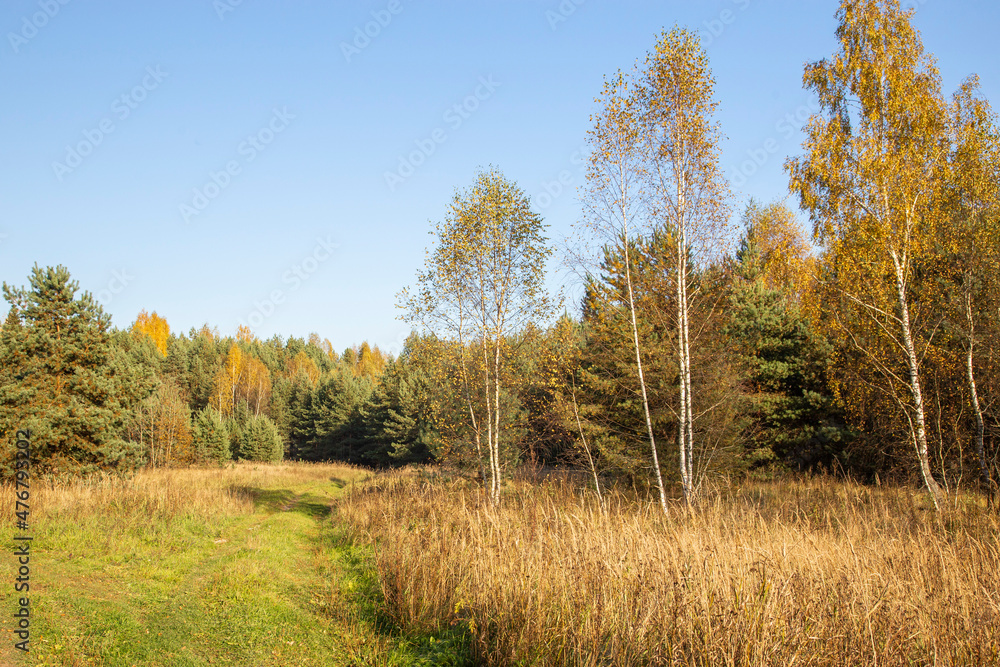 Lake in the forest in the autumn Lake in the forest in the autumn