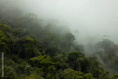 Mysterious shades of Brazilian amazon rainforest during monsoon wet season with treetops emerging out of abundant woods on a mountain slope. Climate change and natural phenomenon concept. photo