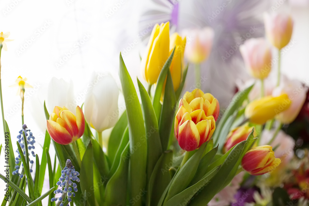 Spring floral composition. Bouquet of tulips and other flowers. Spring floral composition. Bouquet of tulips and other flowers.
