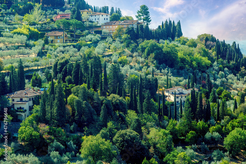 Fotografie, Obraz florence countryside, village with olive groves.