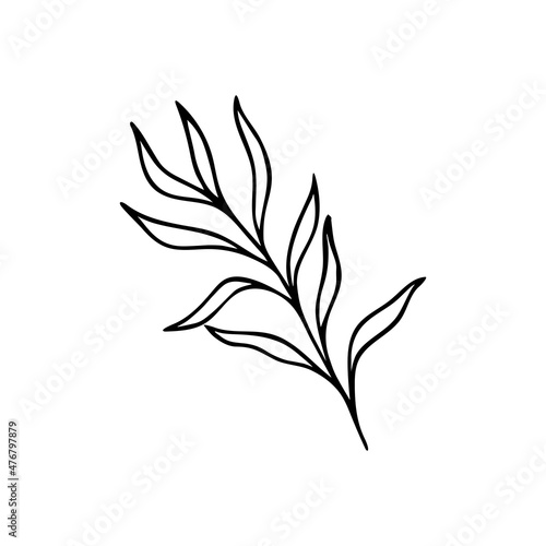 Hand drawn branch with leaves in line art. Vector contour drawing. Minimalism art. Modern decor.