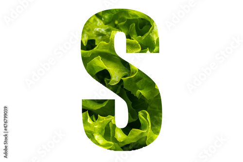Letter S of the English alphabet made from fresh green lettuce leaves on a white isolated background. Bright alphabet for design