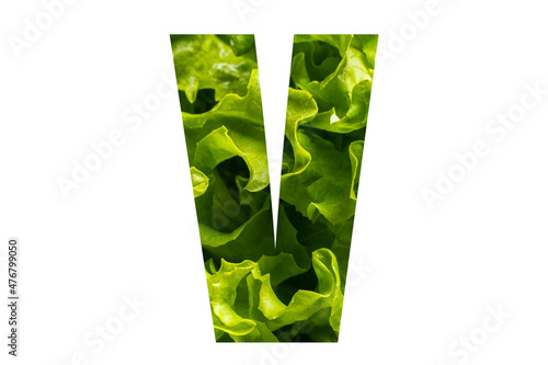 Letter V of the English alphabet made from fresh green lettuce leaves on a white isolated background. Bright alphabet for design