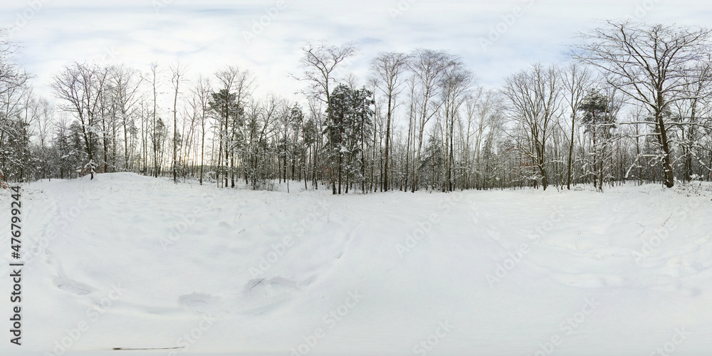 Winter covered with snow Forest HDRI Panorama