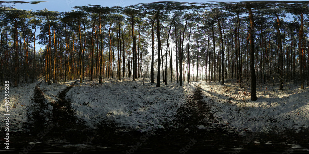 Winter covered with snow Forest HDRI Panorama Winter covered with snow Forest HDRI Panorama