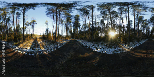 Snow in Winter forest HDRI Panorama