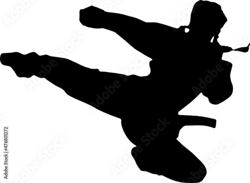 Karate Silhouettes Karate SVG EPS PNG