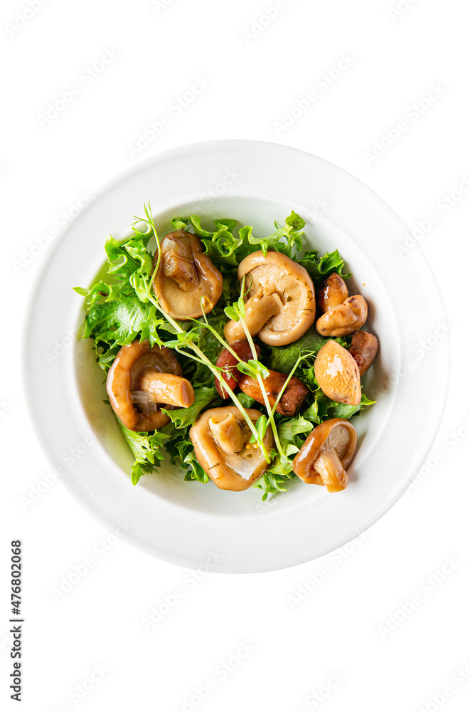 pickled mushroom mix salad healthy meal food snack on the table copy space food background rustic top view keto or paleo diet veggie vegan or vegetarian food pickled mushroom mix salad healthy meal food snack on the table copy space food background rustic top view keto or paleo diet veggie vegan or vegetarian food