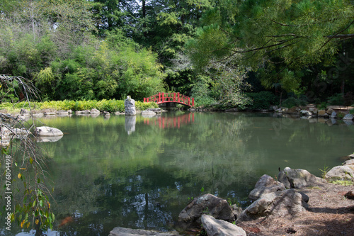 Tranquil japanese water garden with red bridge over koi pond