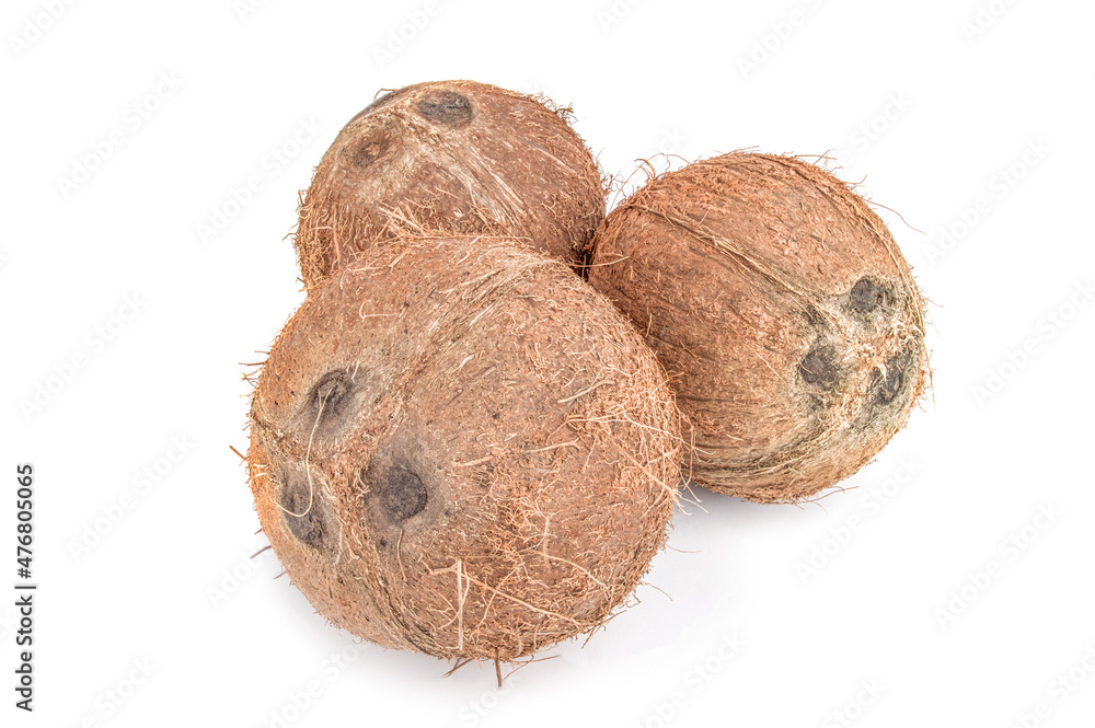 Coconut on white Coconut on white