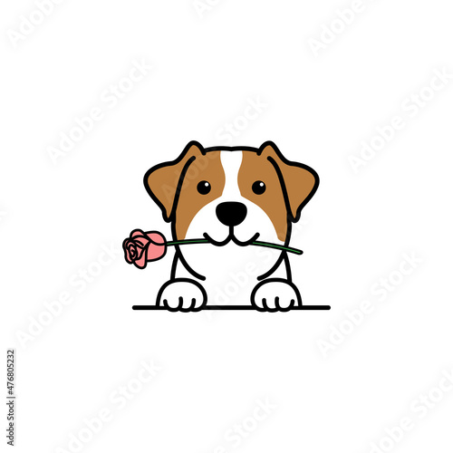 Cute jack russell terrier puppy holding a rose in mouth cartoon, vector illustration