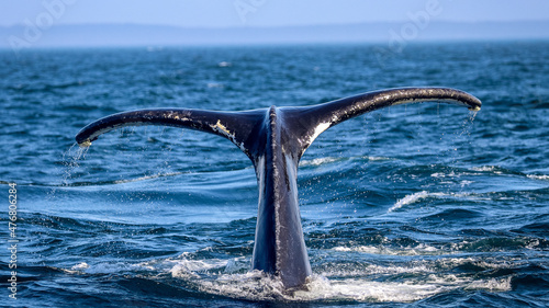 Photos Brier Island, Nova Scotia, CANADA