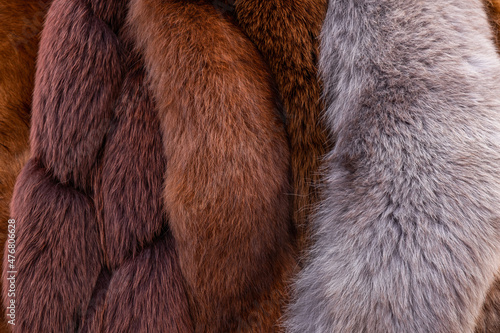 Red Brown Grey Wolf, Fox, Bear Fur Natural, Animal Wildlife Concept and Style for Background