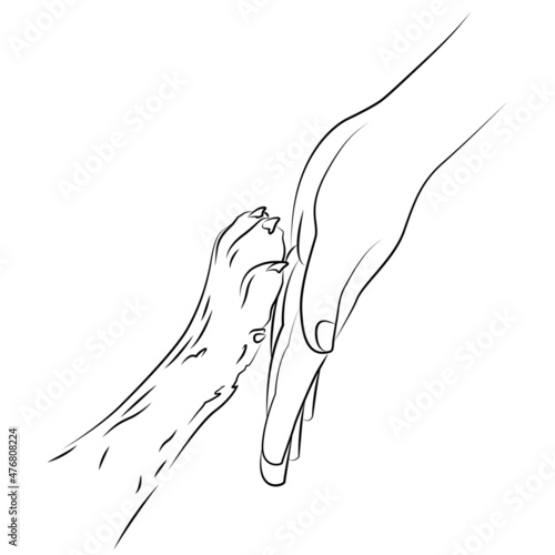 Woman's hand and dog's paw. Friendship