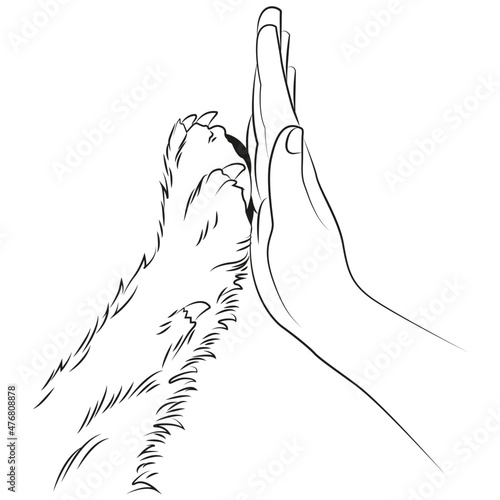 Human hand and dog paw. Friendship