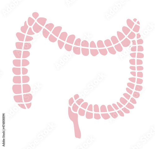 Simple gastrointestinal illustration of bowel internal system. Healthy gut concept. Human body parts in vector. For probiotics or gastroenterologist field.