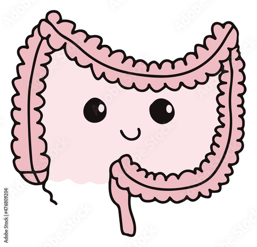 Simple gastrointestinal illustration of bowel internal system. Healthy gut concept. Human body parts in vector. Happy gut expression with cute face for probiotics or gastroenterologist field, biology