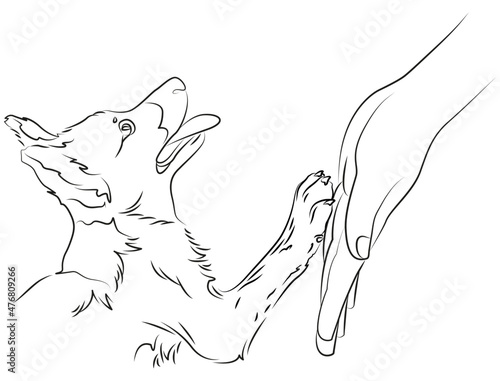 Puppy and human hand. Friendship and trust. Vector 